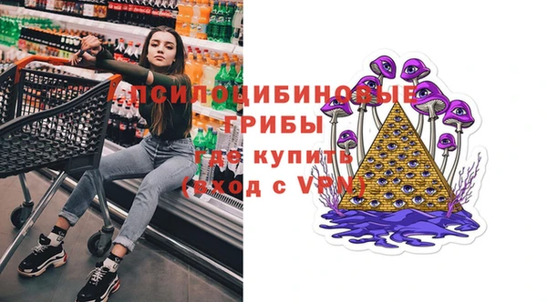 стафф Вязьма