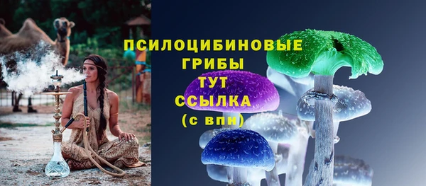 трава Баксан