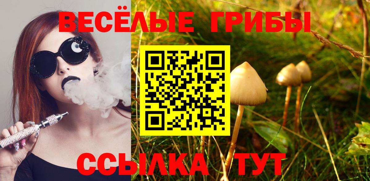 где продают   Псилоцибиновые грибы Psilocybine cubensis  Воскресенск  Галлюциногенные грибы ЛСД 