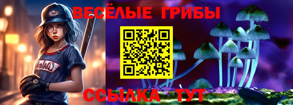 Галлюциногенные грибы Cubensis Воскресенск